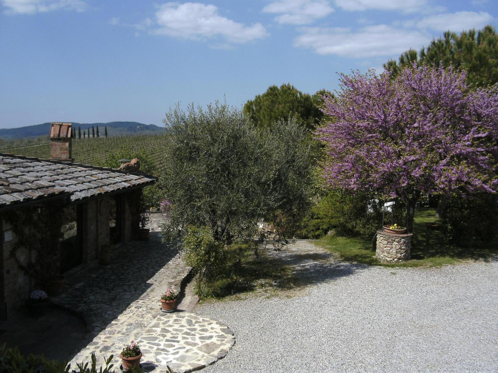 瓦格里亚利Casa Lucia In Chianti住宿加早餐旅馆 外观 照片