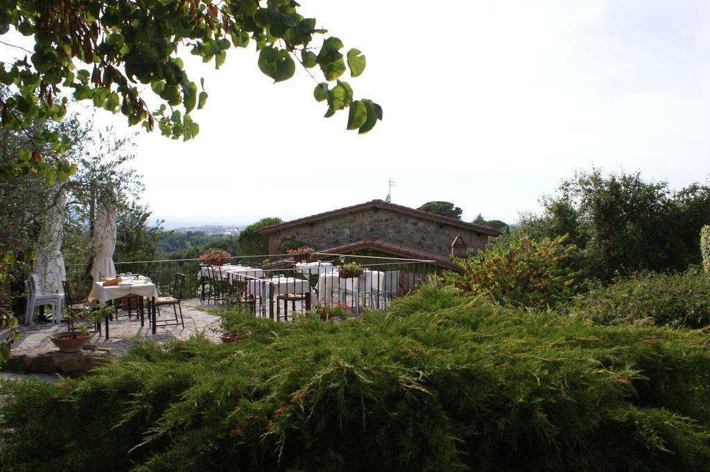 瓦格里亚利Casa Lucia In Chianti住宿加早餐旅馆 外观 照片