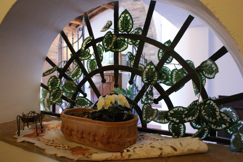 瓦格里亚利Casa Lucia In Chianti住宿加早餐旅馆 外观 照片